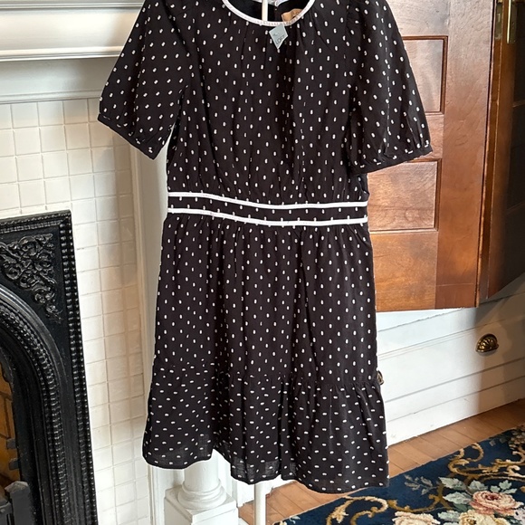 Loft Clip Flounce dress. NWT. Retail‎ 89.95 - Picture 5 of 8